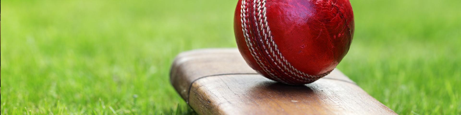 Cricket