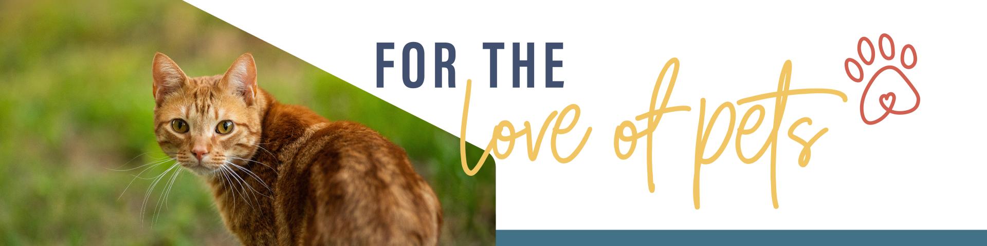 Cat By-Laws Web Banner