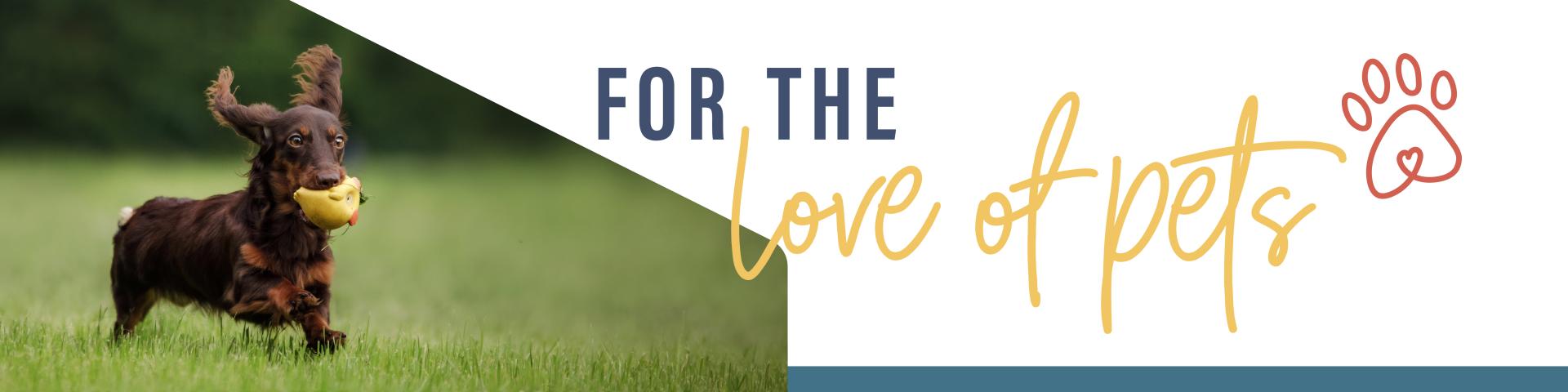 Dogs By-Laws Web Banner