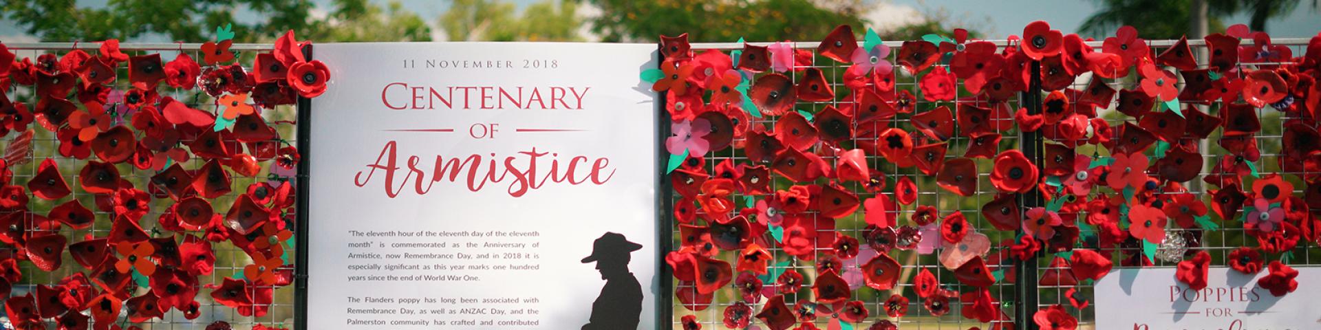 Poppy Wall