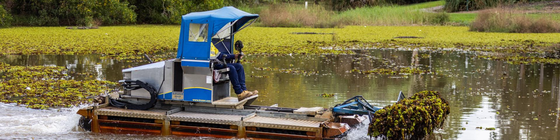 Harvester in action on the lake