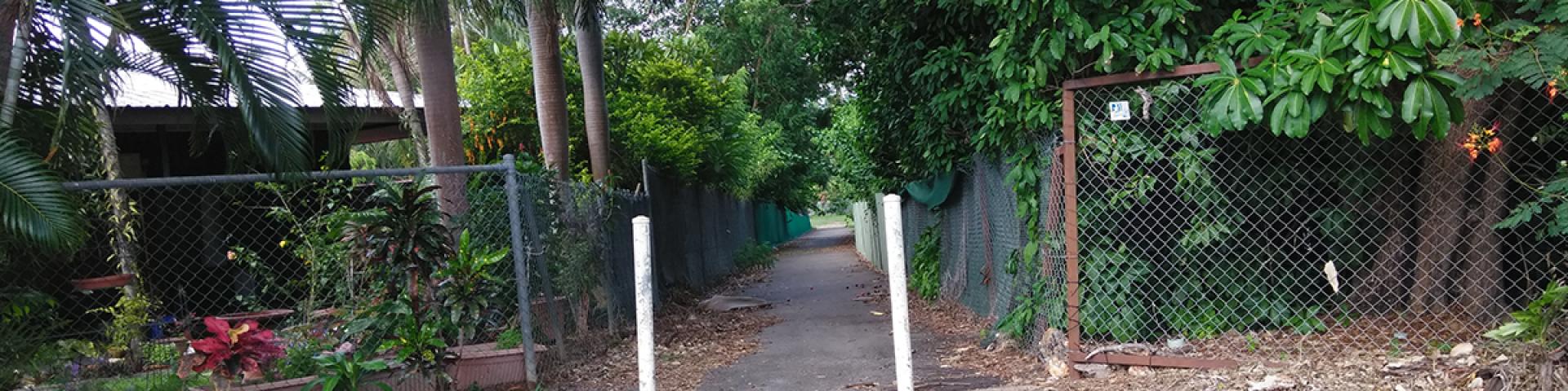 Draft Laneway Management Policy