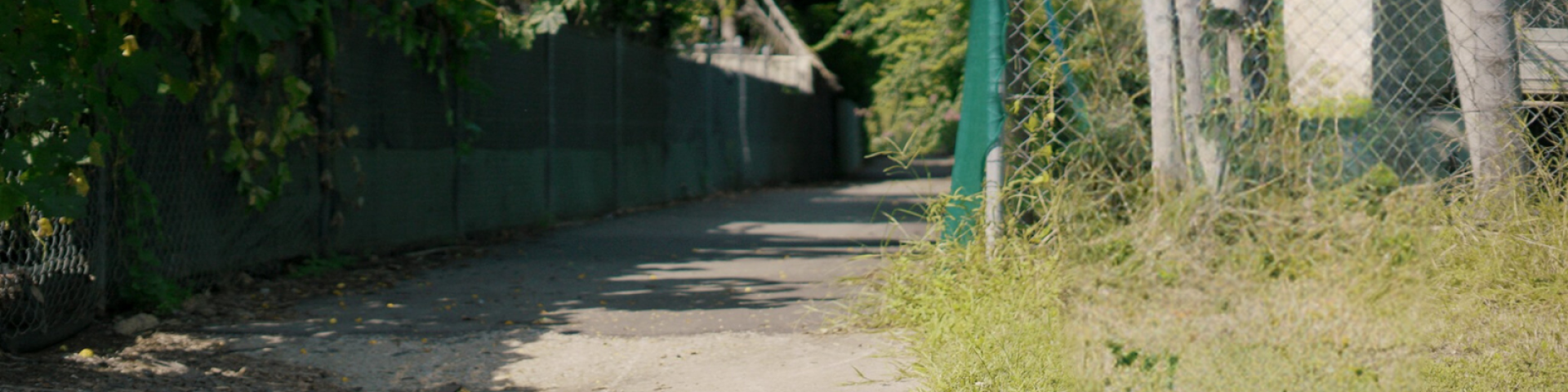 Laneway image