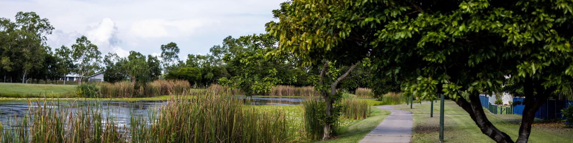 Tree next to lake