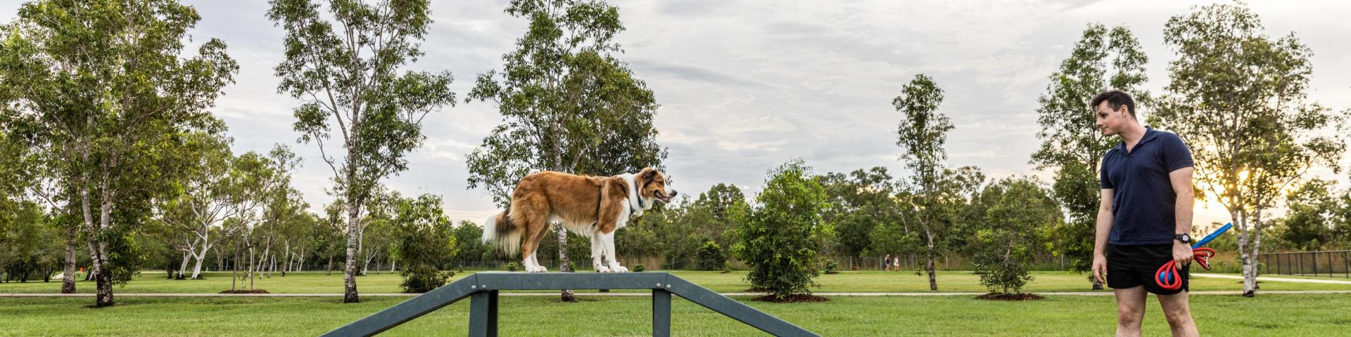 Marlow Lagoon Dog Park Improvements