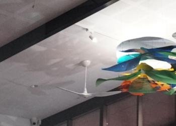 gray hall art work
