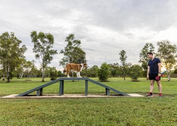 Marlow Lagoon Dog Park Improvements