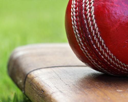 Cricket
