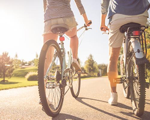 Cycling & Walking Paths