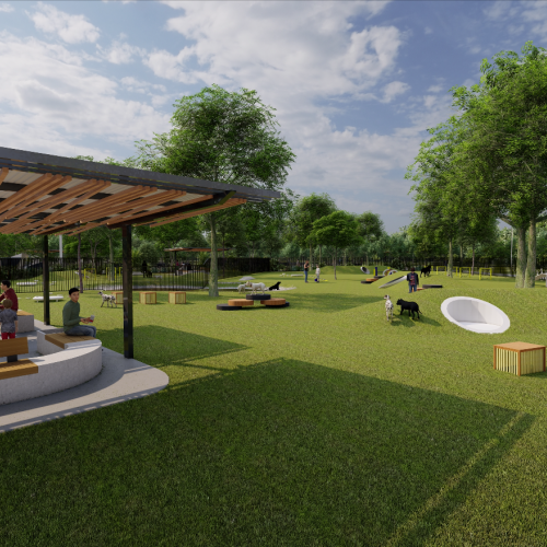 Dog Park