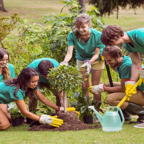 Community Gardens