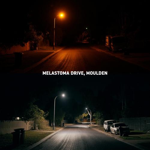 Melastoma